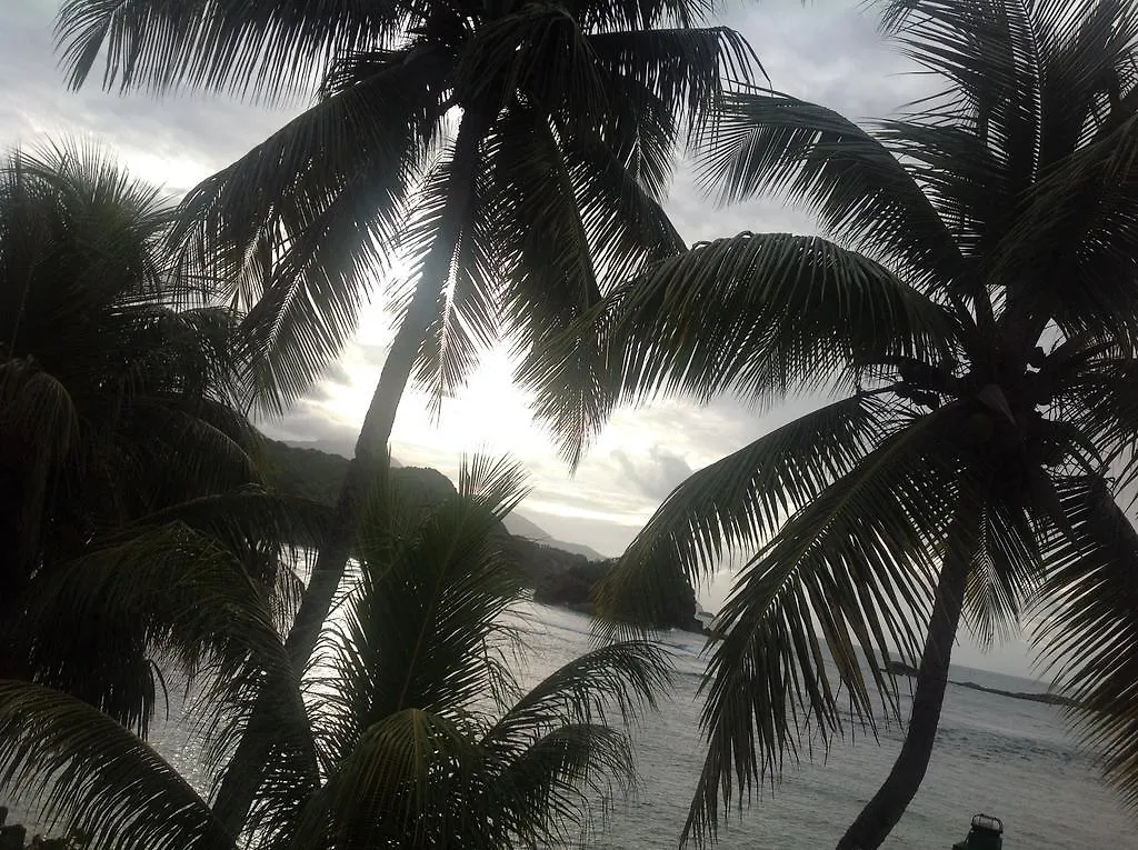 Rainbow Beach Apartment Calibishie 0*,  Dominica