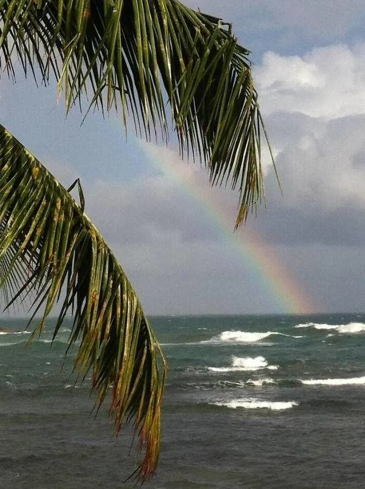 Rainbow Beach Apartments & Rooms Calibishie