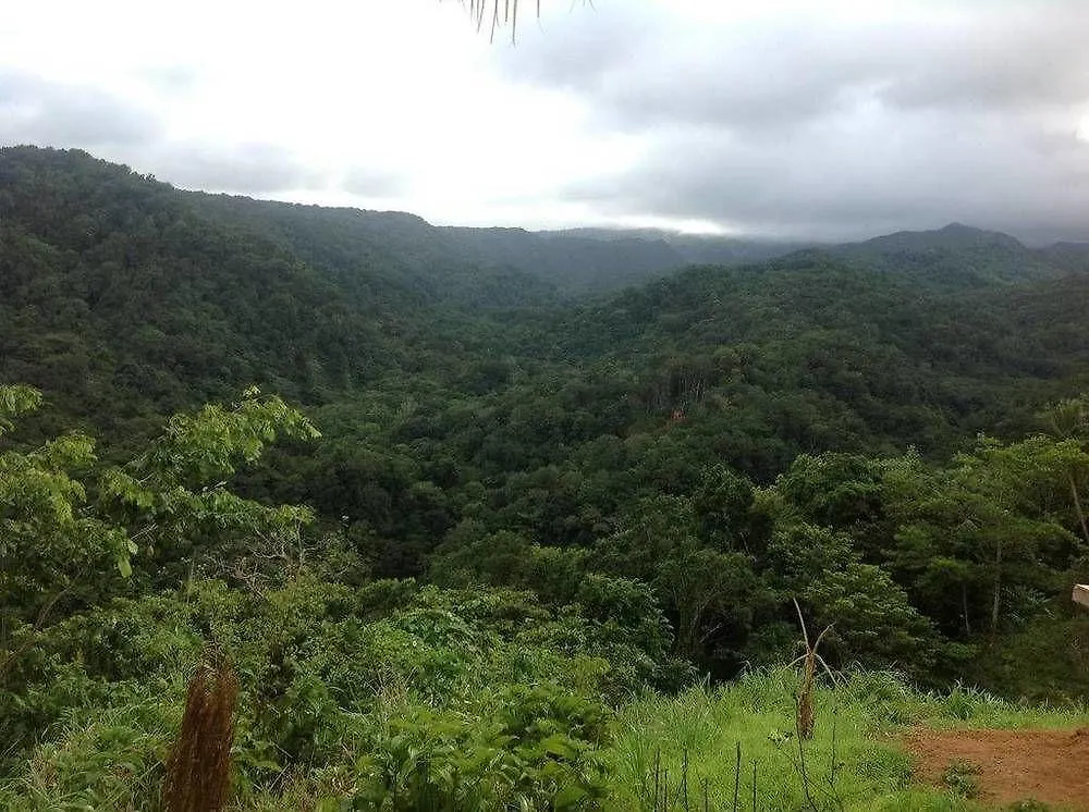 Rainbow Beach Apartment Calibishie 0*,  Dominica